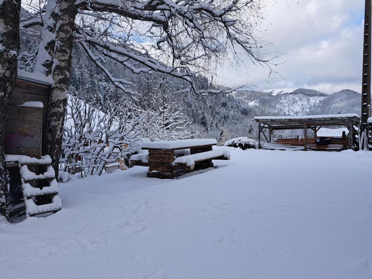 Le Refuge Du Bucheron Mittlach Exteriér fotografie