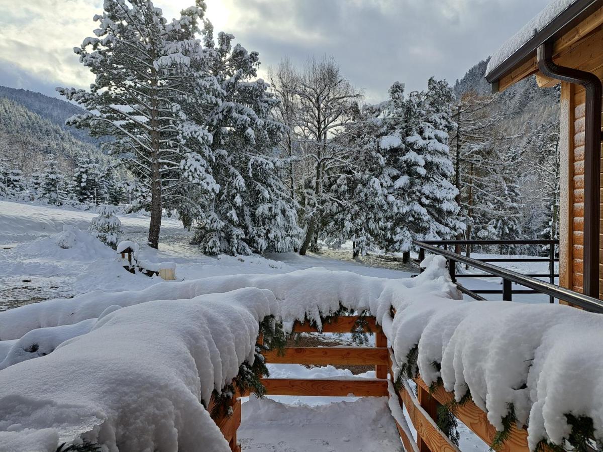 Le Refuge Du Bucheron Mittlach Exteriér fotografie